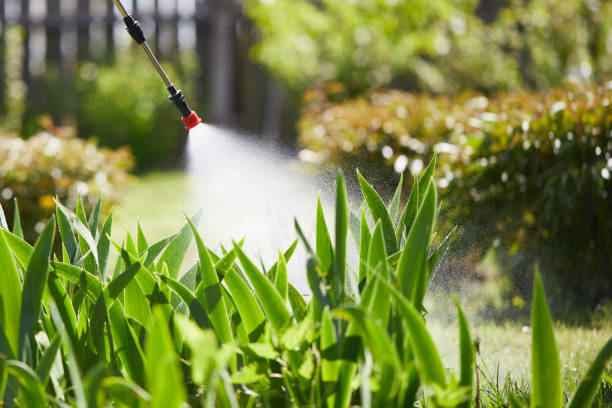 Tamper-Resistant Bait Stations for Rodents in Corning